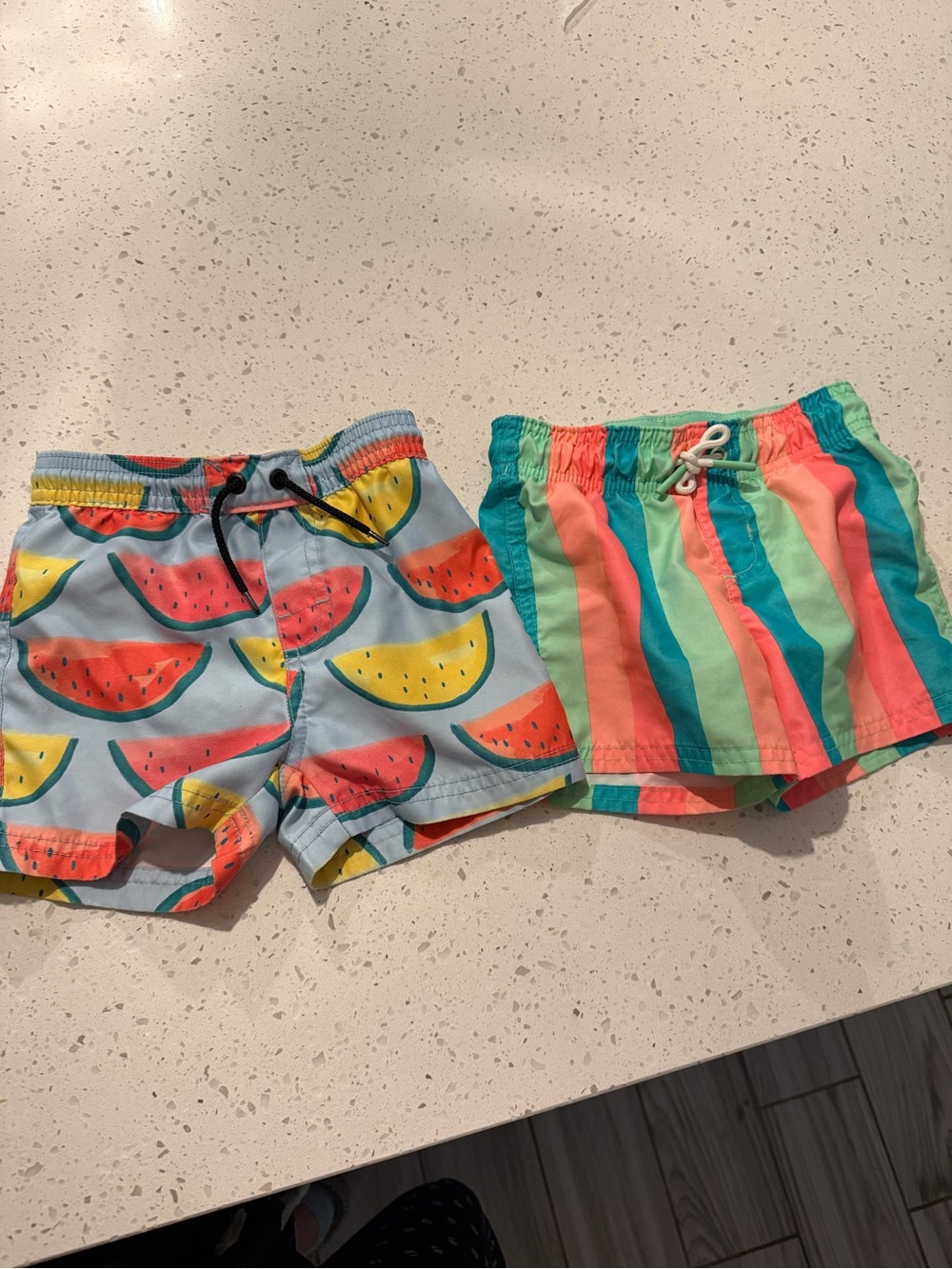 Kids Watermelon & Stripe Swim Shorts - Multicolor 2T